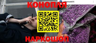 первитин Гусев