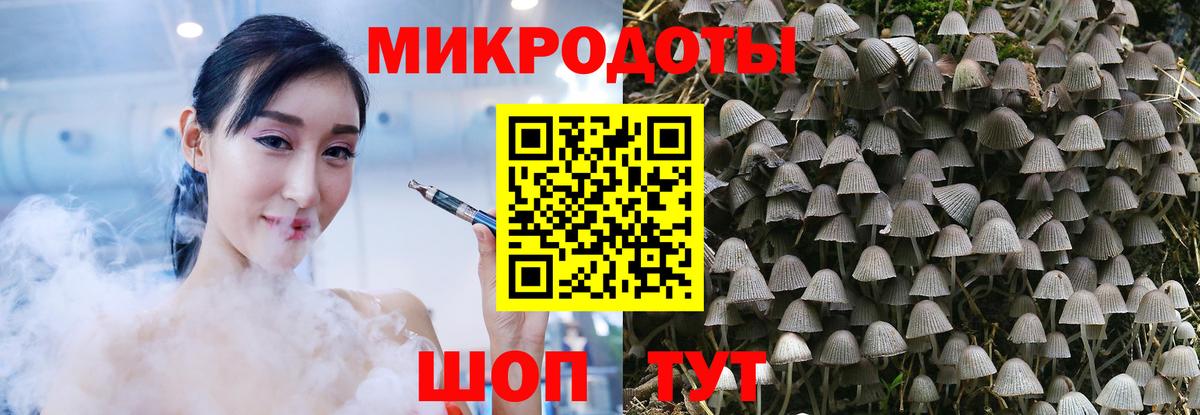 Галлюциногенные грибы Psilocybe Барабинск